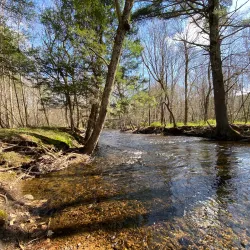 The Gurleyville Gristmill - Mansfield