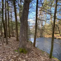 The Gurleyville Gristmill - Mansfield