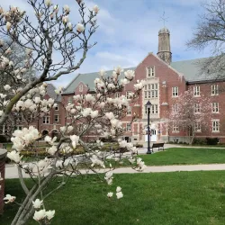 University of Connecticut (UConn) - Mansfield