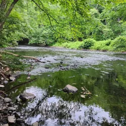 Willimantic River Trail - Mansfield