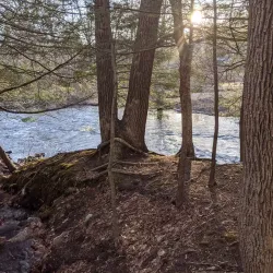 Willimantic River Trail - Mansfield
