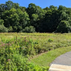 Willimantic River Trail - Mansfield