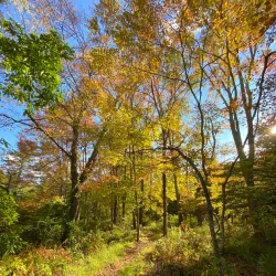 Willimantic River Trail - Mansfield