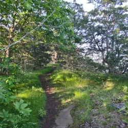 Higby Mountain Trail - Middletown