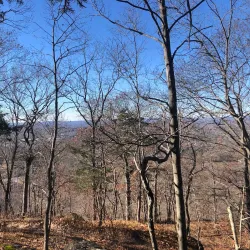 Higby Mountain Trail - Middletown