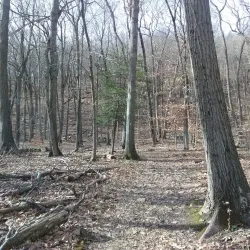 Higby Mountain Trail - Middletown