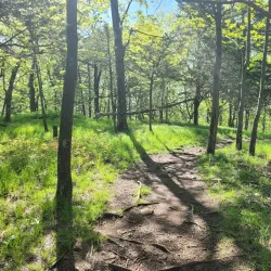 Higby Mountain Trail - Middletown
