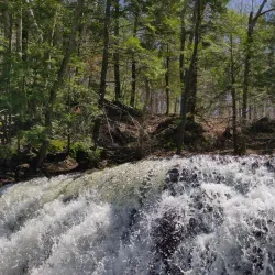 Wadsworth Falls State Park - Middletown