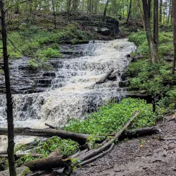 Wadsworth Falls State Park - Middletown