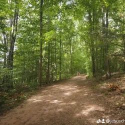 Wadsworth Falls State Park - Middletown