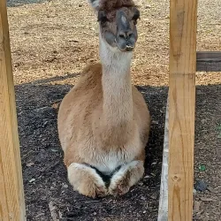 New Britain Youth Museum at Hungerford Park - New Britain