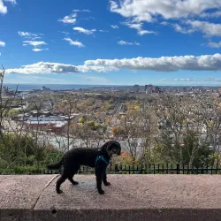 East Rock Park - New Haven