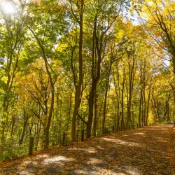 East Rock Park - New Haven