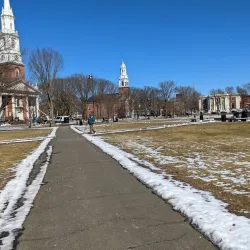 New Haven Green - New Haven