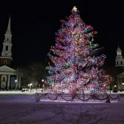 New Haven Green - New Haven