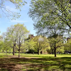 New Haven Green - New Haven