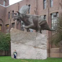 Peabody Museum of Natural History - New Haven