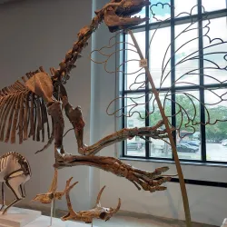 Peabody Museum of Natural History - New Haven