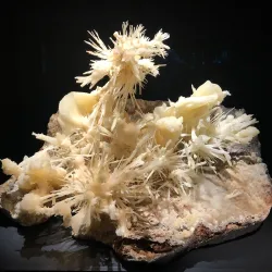 Peabody Museum of Natural History - New Haven