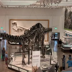 Peabody Museum of Natural History - New Haven