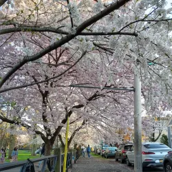 Wooster Square - New Haven
