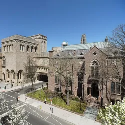 Yale University Art Gallery - New Haven