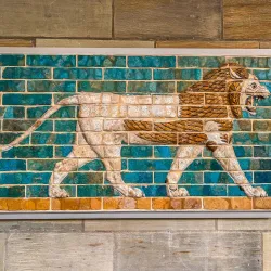 Yale University - New Haven