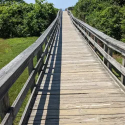 Harkness Memorial State Park - New London