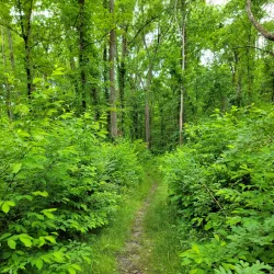 Gaylordsville Covered Bridge - New Milford