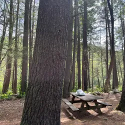 Housatonic Meadows State Park - New Milford