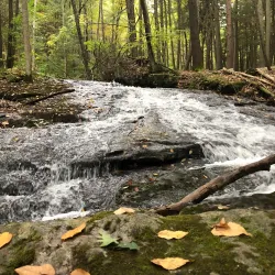 Housatonic Meadows State Park - New Milford