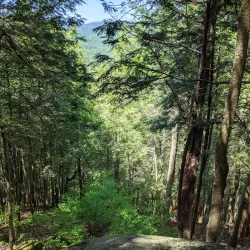 Housatonic Meadows State Park - New Milford