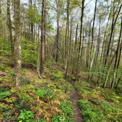 Housatonic Meadows State Park - New Milford