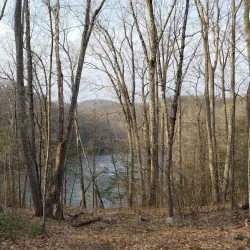 Housatonic River Walk - New Milford