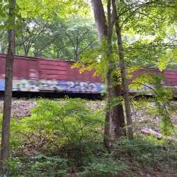 Housatonic River Walk - New Milford