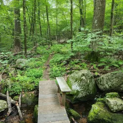 Ives Trail - New Milford