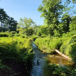 Ives Trail - New Milford