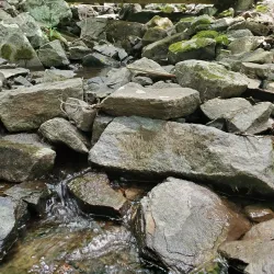 Ives Trail - New Milford