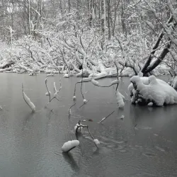 Ives Trail - New Milford