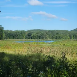 Ives Trail - New Milford