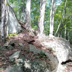 Ives Trail - New Milford