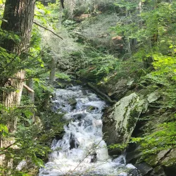 Ives Trail - New Milford