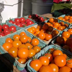 New Milford Farmers Market - New Milford