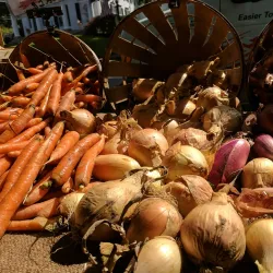 New Milford Farmers Market - New Milford