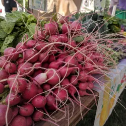 New Milford Farmers Market - New Milford