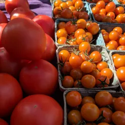 New Milford Farmers Market - New Milford