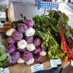 Putnam Farmers Market - Putnam