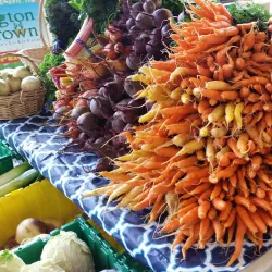 Putnam Farmers Market - Putnam