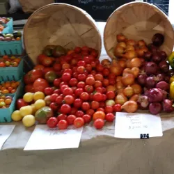 Putnam Farmers Market - Putnam