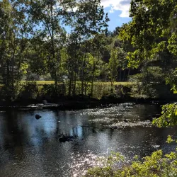 Putnam River Trail Park - Putnam